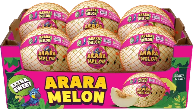 Arara Melon retail carton holding six netted melons