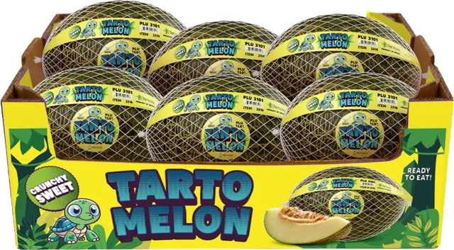 Tarto Melon retail carton holding six netted melons