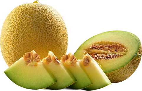 Galia melon, whole and halved, with green-fleshed slices